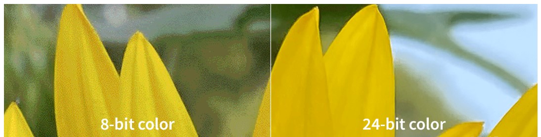 5.3. Độ sâu màu (Color Depth) và độ tương phản 1