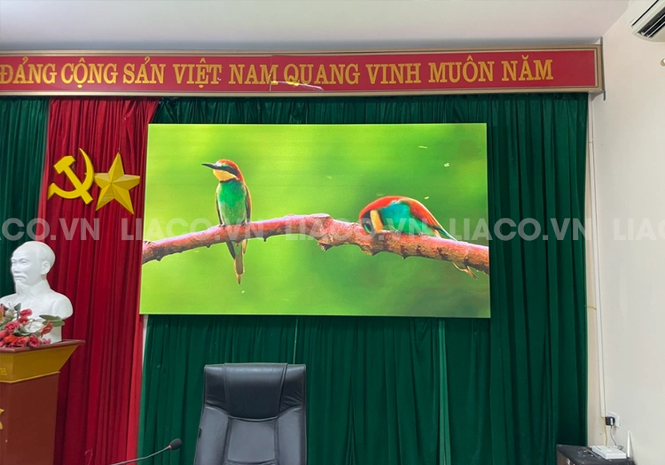 Lắp đặt màn hình LED P2 trong nhà tại BV Phụ sản Thanh Hóa