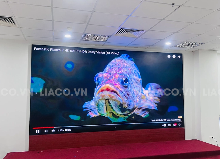 Khung cố định và viền trang trí tinh tế 1