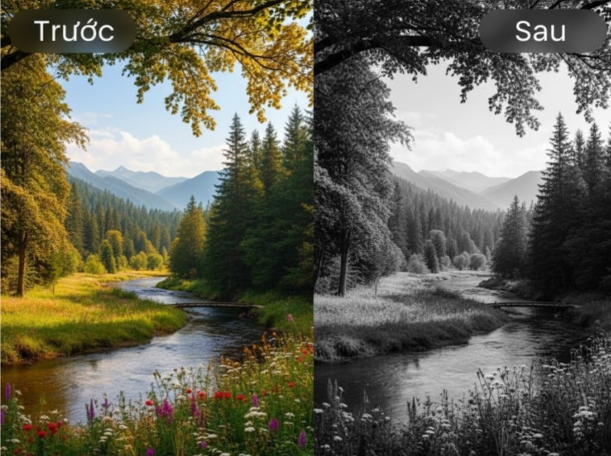 Vai trò của thang độ xám trong chất lượng hình ảnh 1